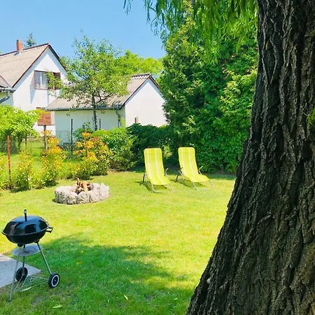 Nyaraló Vadszőlő *