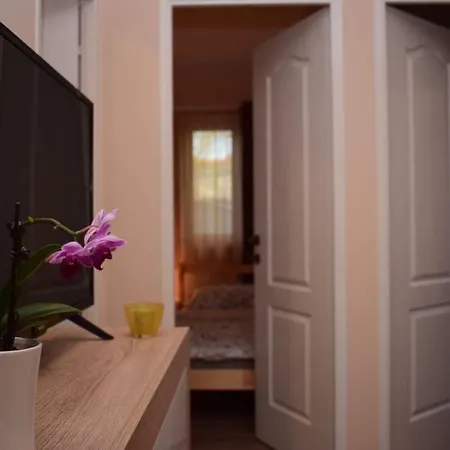 Nyaraló Vadszőlő *